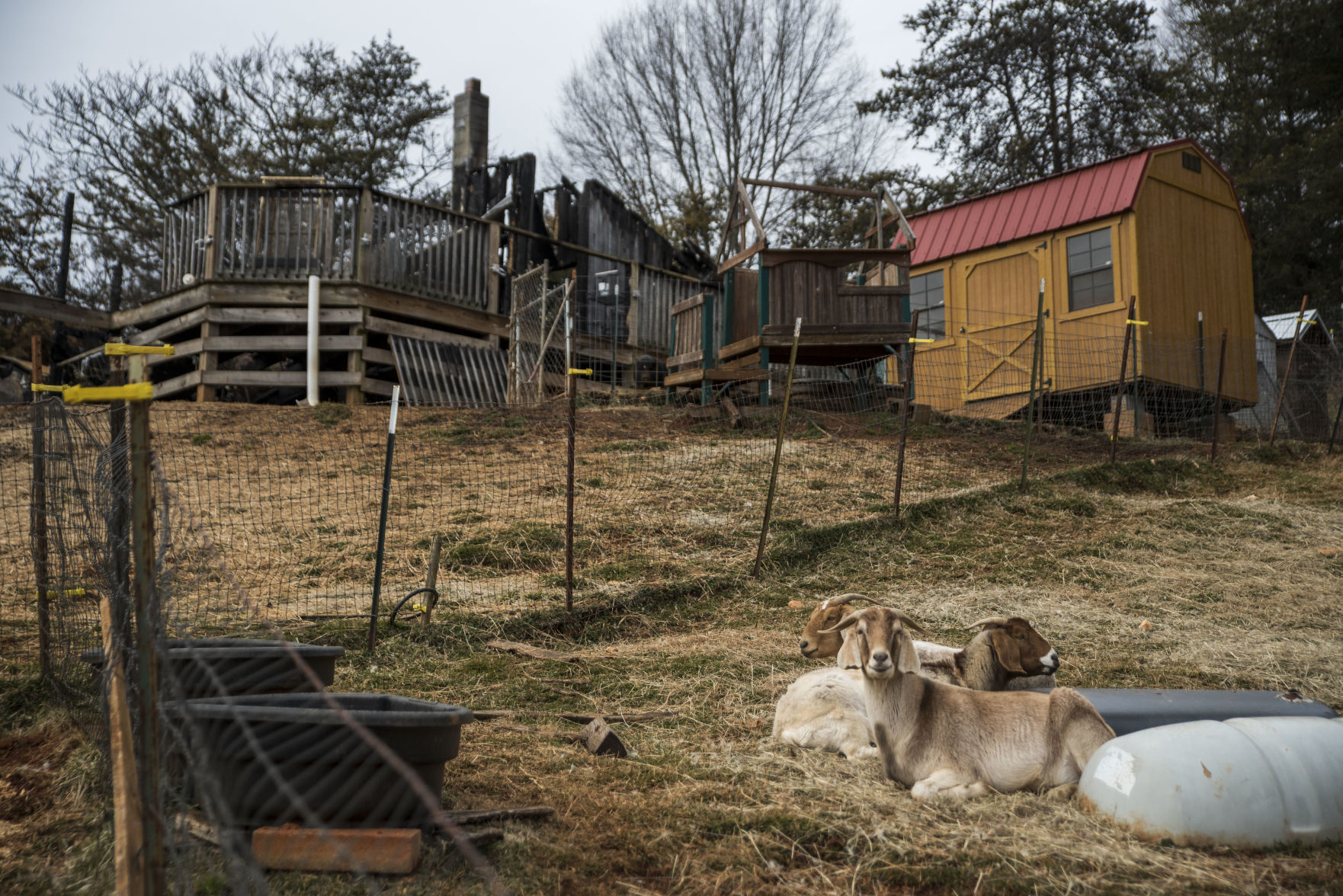 Animal Sanctuary